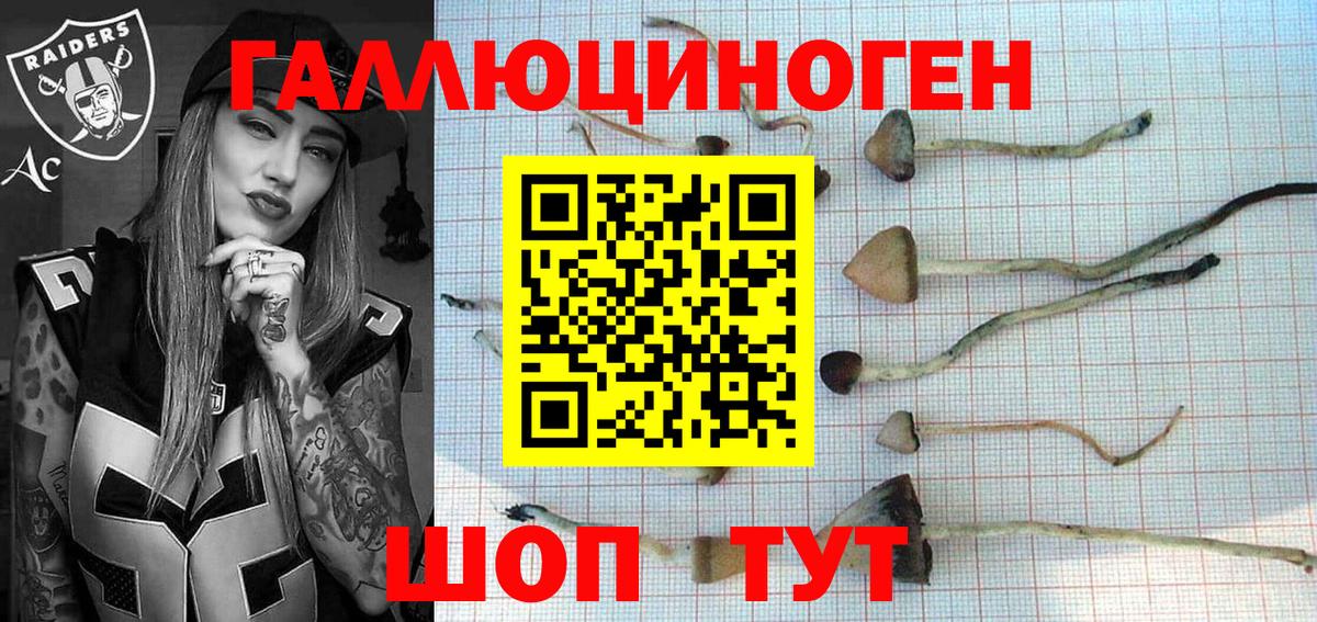 Галлюциногенные грибы мухоморы  Вход с VPN  Кировск  Галлюциногенные грибы мухоморы 